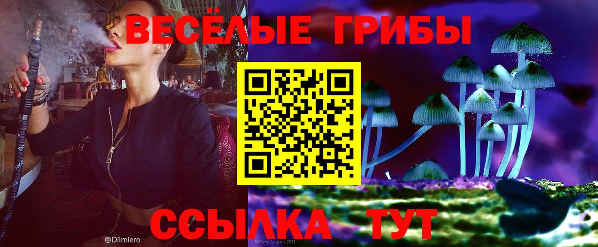 Озёры  Псилоцибиновые грибы Cubensis  Вход с VPN  Псилоцибиновые грибы мухоморы 
