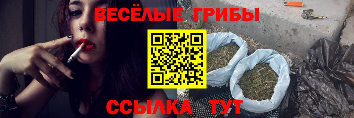 Галлюциногенные грибы прущие грибы Озёры